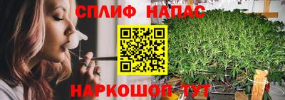 мдпв Тара