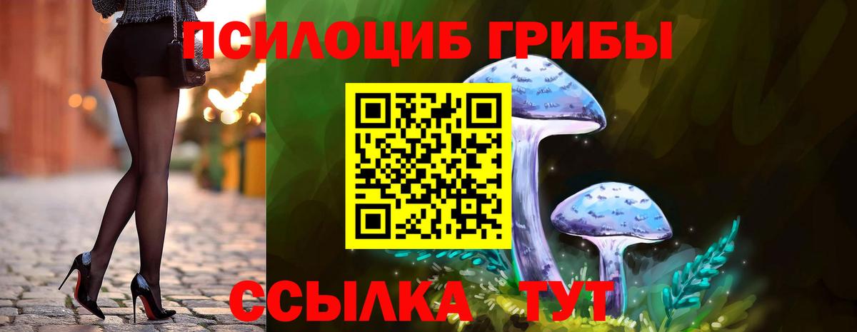 Краснознаменск  Псилоцибиновые грибы мицелий  Вход с VPN 